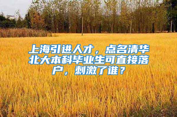 上海引进人才，点名清华北大本科毕业生可直接落户，刺激了谁？