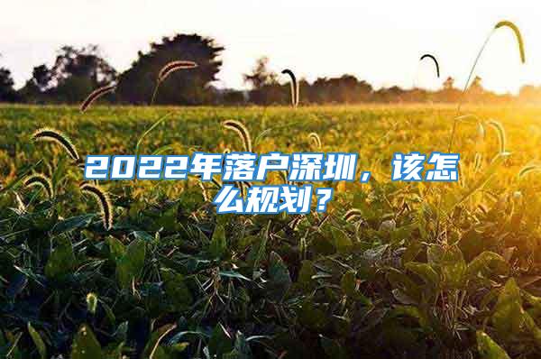 2022年落户深圳，该怎么规划？