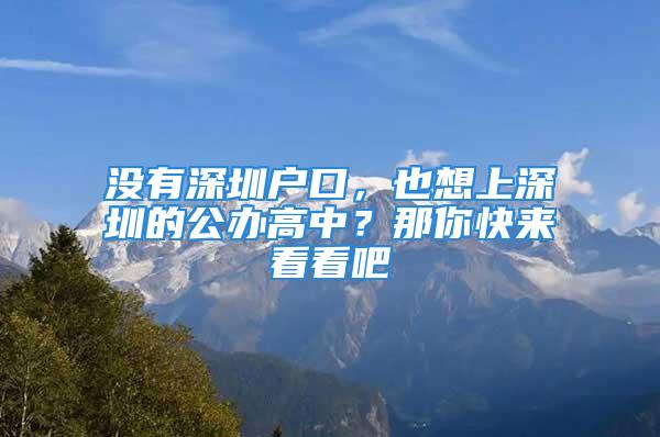 没有深圳户口，也想上深圳的公办高中？那你快来看看吧