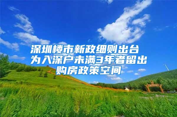 深圳楼市新政细则出台 为入深户未满3年者留出购房政策空间