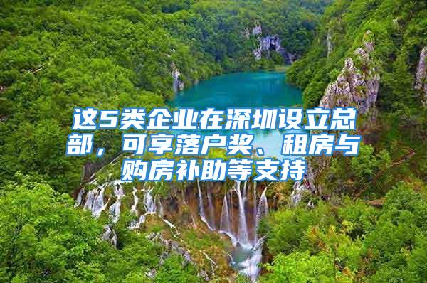 这5类企业在深圳设立总部，可享落户奖、租房与购房补助等支持