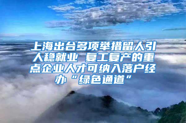 上海出台多项举措留人引人稳就业 复工复产的重点企业人才可纳入落户经办“绿色通道”