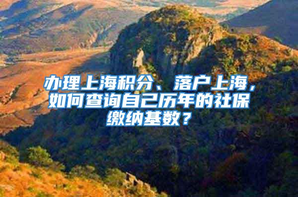 办理上海积分、落户上海，如何查询自己历年的社保缴纳基数？