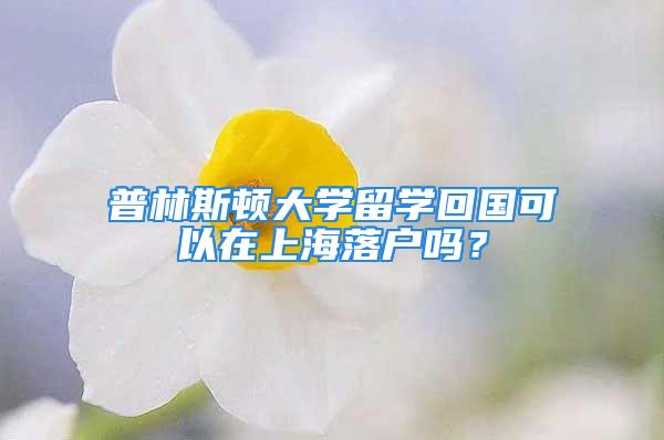 普林斯顿大学留学回国可以在上海落户吗？