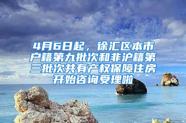 4月6日起，徐汇区本市户籍第九批次和非沪籍第三批次共有产权保障住房开始咨询受理啦