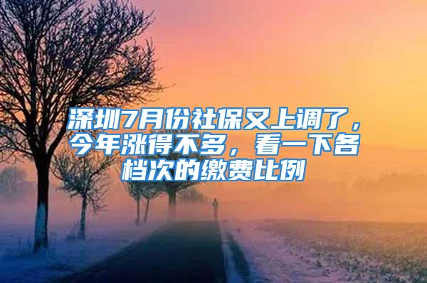 深圳7月份社保又上调了，今年涨得不多，看一下各档次的缴费比例