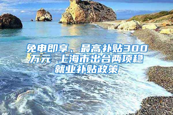 免申即享、最高补贴300万元 上海市出台两项稳就业补贴政策