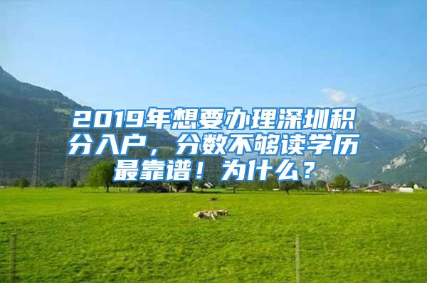 2019年想要办理深圳积分入户，分数不够读学历最靠谱！为什么？