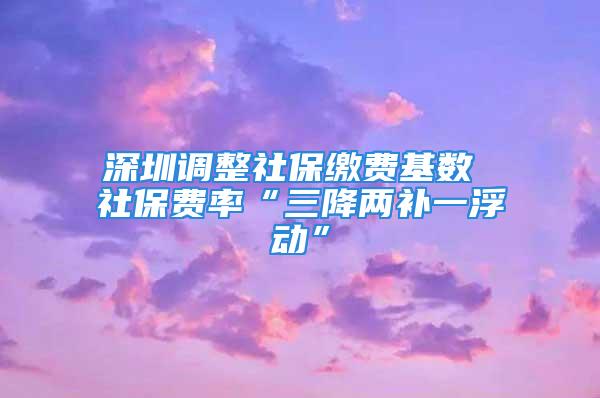 深圳调整社保缴费基数 社保费率“三降两补一浮动”