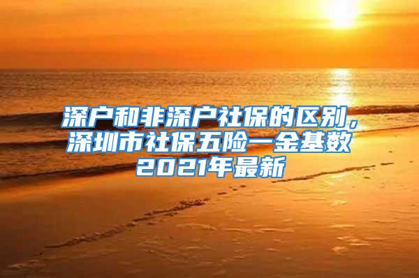 深户和非深户社保的区别，深圳市社保五险一金基数2021年最新