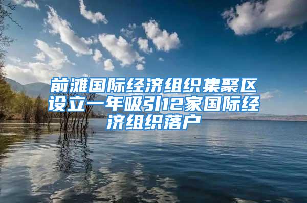 前滩国际经济组织集聚区设立一年吸引12家国际经济组织落户