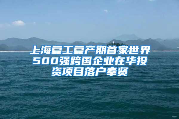 上海复工复产期首家世界500强跨国企业在华投资项目落户奉贤