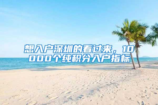 想入户深圳的看过来，10000个纯积分入户指标