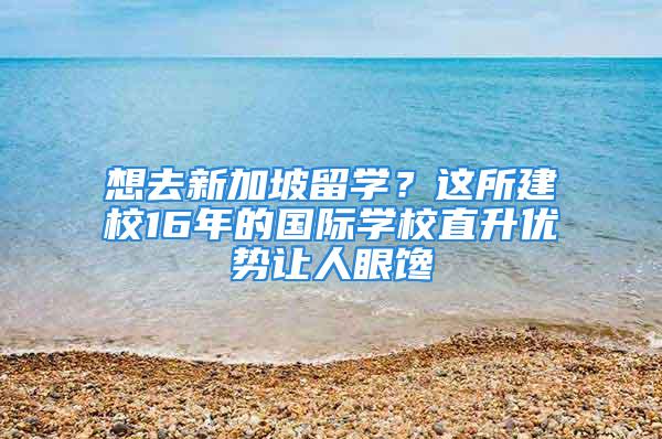 想去新加坡留学？这所建校16年的国际学校直升优势让人眼馋