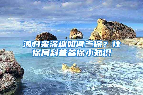 海归来深圳如何参保？社保局科普参保小知识