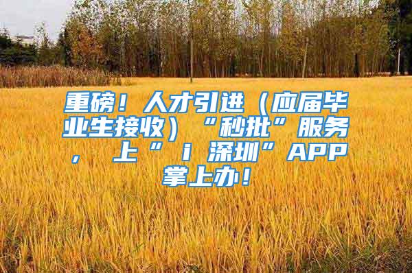 重磅！人才引进（应届毕业生接收）“秒批”服务， 上“ i 深圳”APP掌上办！