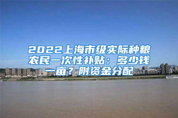 2022上海市级实际种粮农民一次性补贴：多少钱一亩？附资金分配