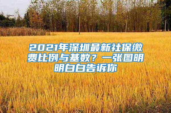 2021年深圳最新社保缴费比例与基数？一张图明明白白告诉你