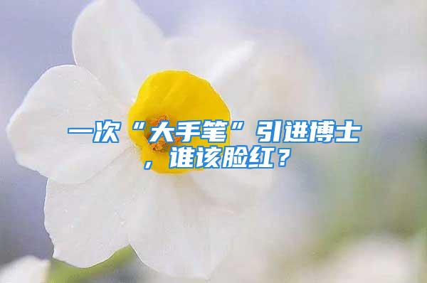 一次“大手笔”引进博士，谁该脸红？