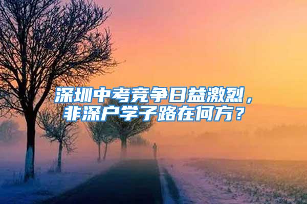 深圳中考竞争日益激烈，非深户学子路在何方？