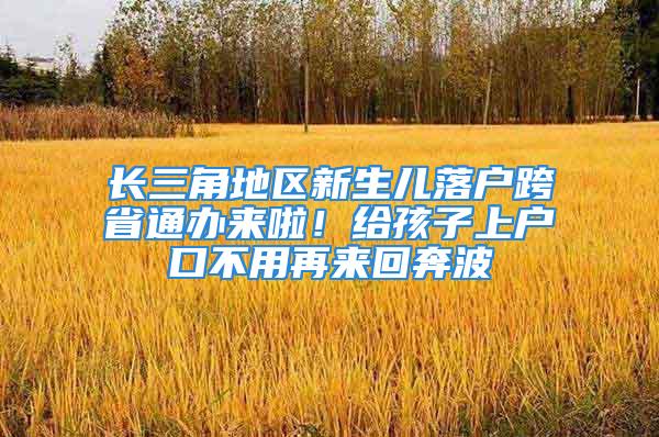 长三角地区新生儿落户跨省通办来啦！给孩子上户口不用再来回奔波