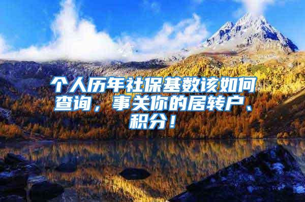 个人历年社保基数该如何查询，事关你的居转户、积分！