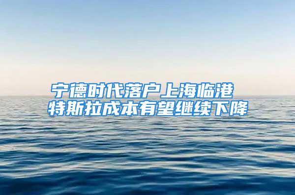 宁德时代落户上海临港 特斯拉成本有望继续下降