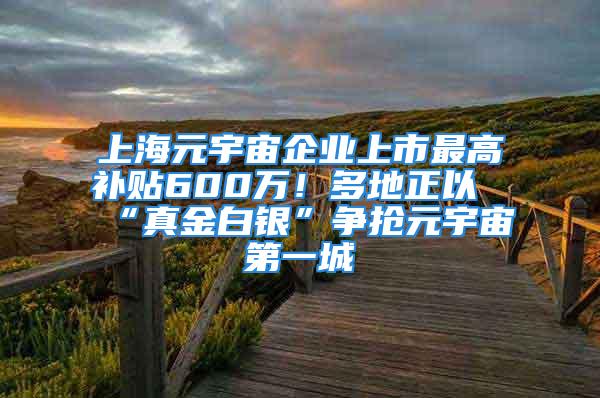 上海元宇宙企业上市最高补贴600万！多地正以“真金白银”争抢元宇宙第一城