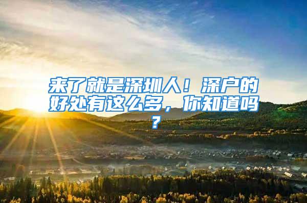 来了就是深圳人！深户的好处有这么多，你知道吗？