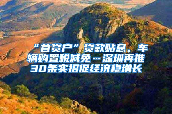 “首贷户”贷款贴息、车辆购置税减免…深圳再推30条实招促经济稳增长