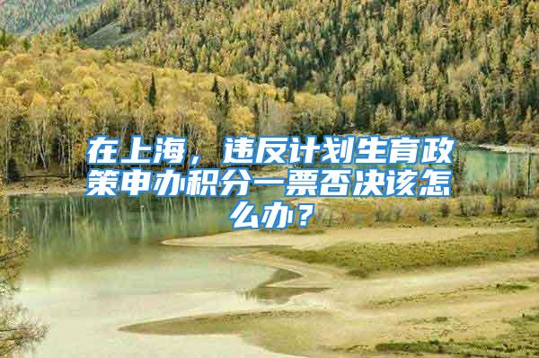 在上海，违反计划生育政策申办积分一票否决该怎么办？