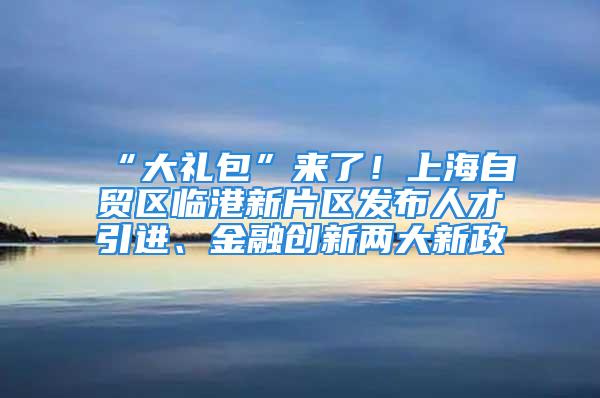 “大礼包”来了！上海自贸区临港新片区发布人才引进、金融创新两大新政