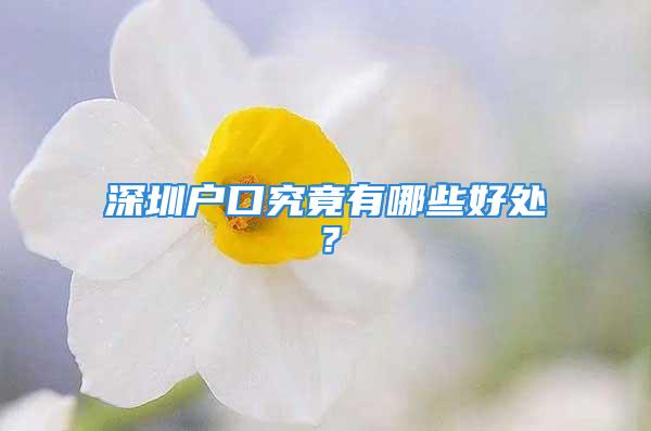 深圳户口究竟有哪些好处？