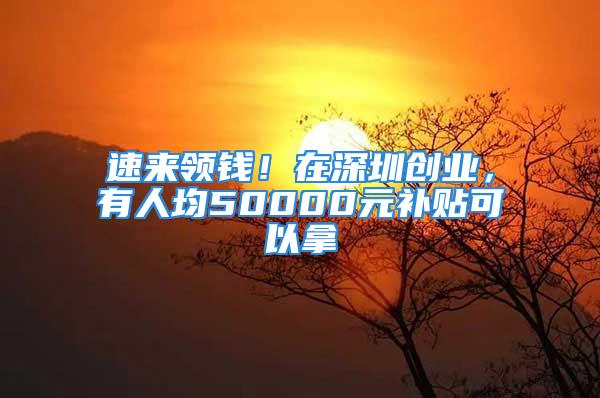 速来领钱！在深圳创业，有人均50000元补贴可以拿