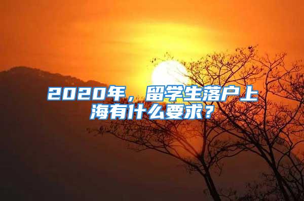 2020年，留学生落户上海有什么要求？