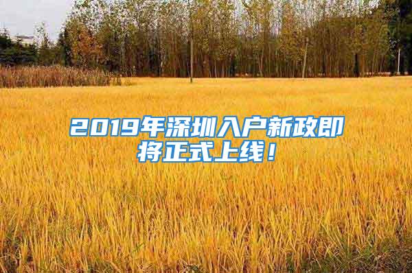 2019年深圳入户新政即将正式上线！