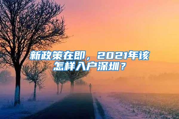 新政策在即，2021年该怎样入户深圳？