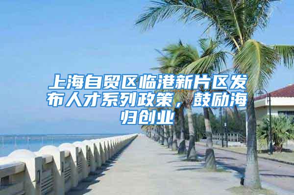 上海自贸区临港新片区发布人才系列政策，鼓励海归创业