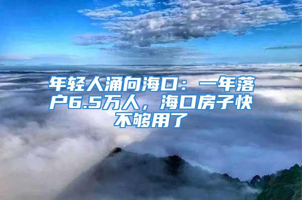 年轻人涌向海口：一年落户6.5万人，海口房子快不够用了