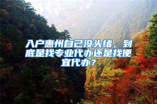 入户惠州自己没头绪，到底是找专业代办还是找便宜代办？