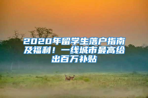 2020年留学生落户指南及福利！一线城市最高给出百万补贴