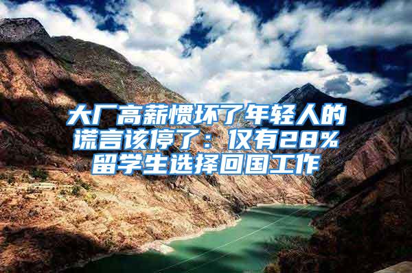 大厂高薪惯坏了年轻人的谎言该停了：仅有28%留学生选择回国工作