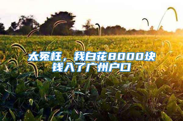 太冤枉，我白花8000块钱入了广州户口