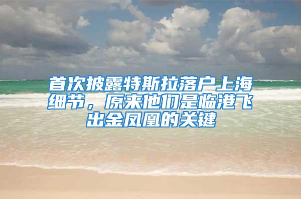 首次披露特斯拉落户上海细节，原来他们是临港飞出金凤凰的关键