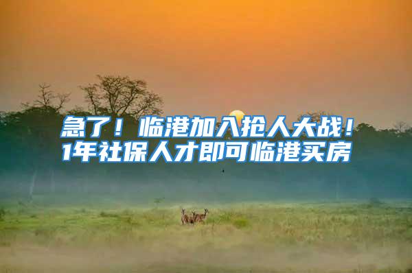 急了！临港加入抢人大战！1年社保人才即可临港买房