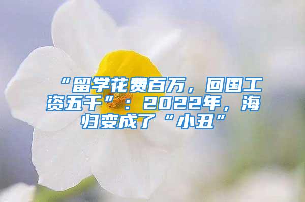 “留学花费百万，回国工资五千”：2022年，海归变成了“小丑”