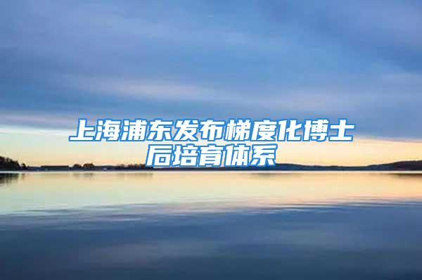 上海浦东发布梯度化博士后培育体系