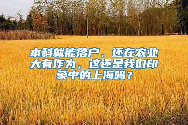 本科就能落户，还在农业大有作为，这还是我们印象中的上海吗？