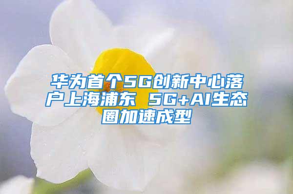 华为首个5G创新中心落户上海浦东 5G+AI生态圈加速成型