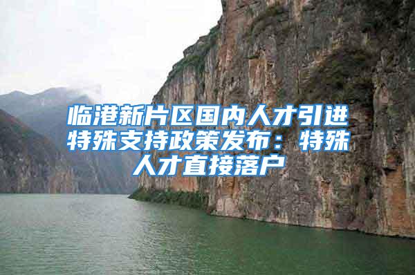 临港新片区国内人才引进特殊支持政策发布：特殊人才直接落户